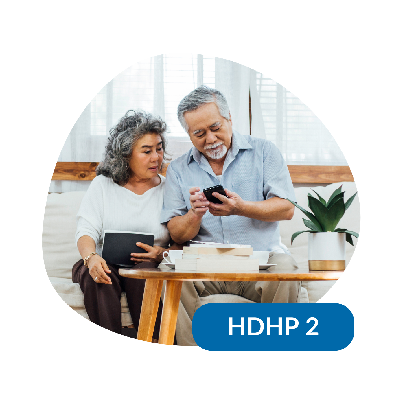 HDHP 2-1